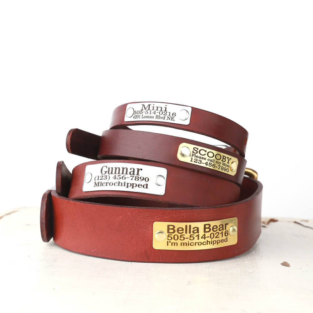 Belt Buckle Collars Dogs Belt Buckle Collars Dogs