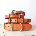 Tan Leather Dog Collar – Belt Buckle Style