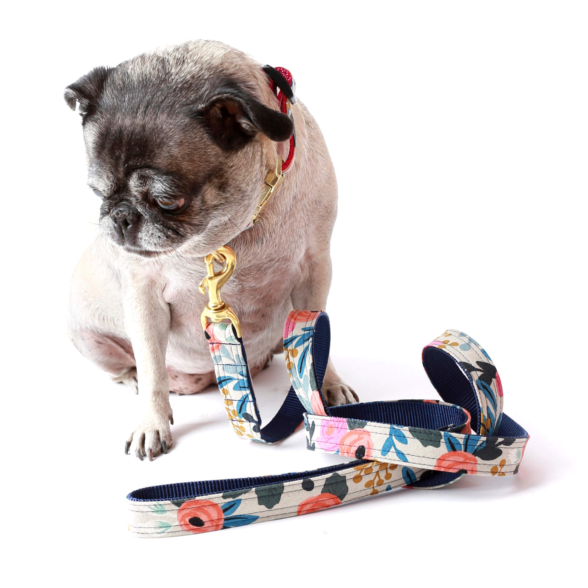 designer dog leash