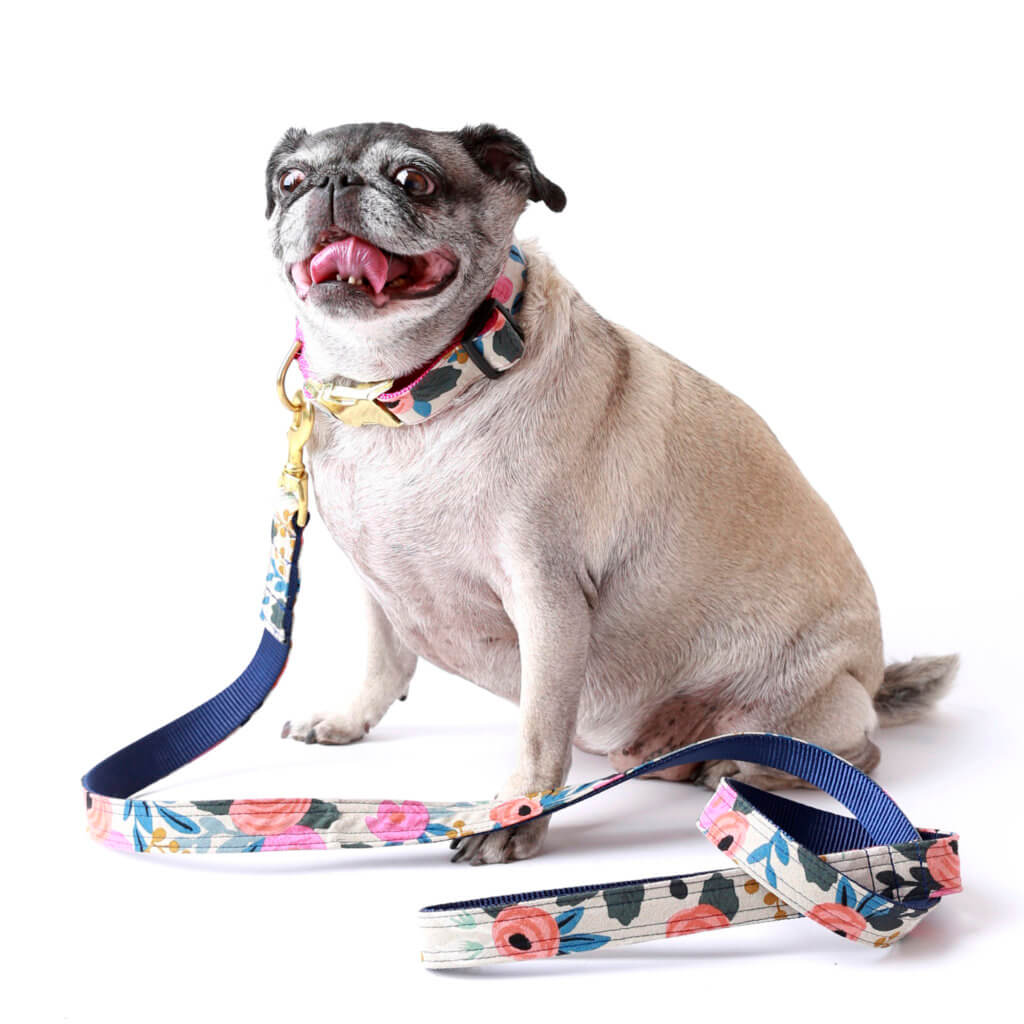 pug rifle paper co fabric dog collar