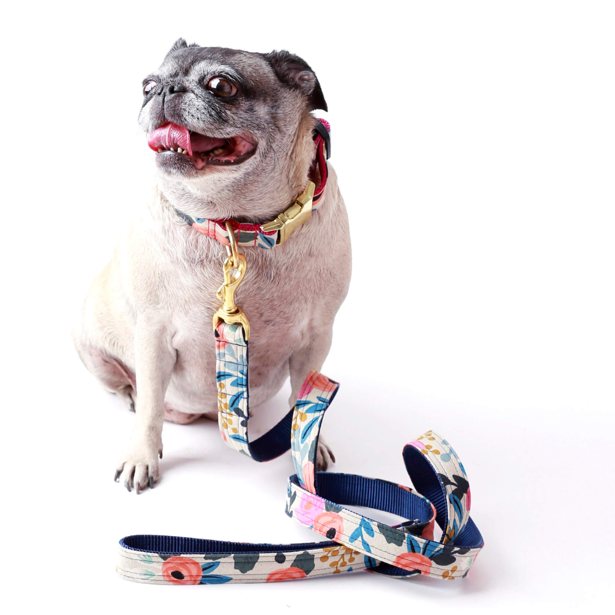 Rifle Paper Co. 'Fleur' in Natural Floral Canvas Dog Leash