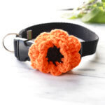 Halloween - 'Candy Corn' Dog Collar & Flower Set