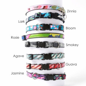 Kitty collars laminated