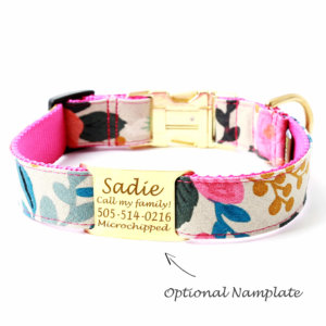 nameplate dog collar fleur rifle paper co gold nameplate with engraving