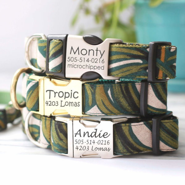 DD: 'Tropic' Monstera Plant Canvas Dog Collar