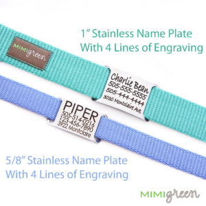 nameplate dog collar