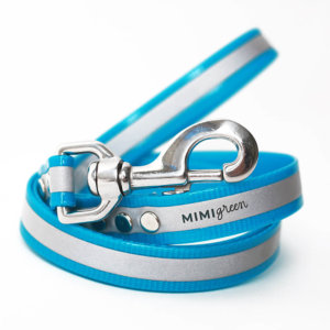 reflective dog leash - blue