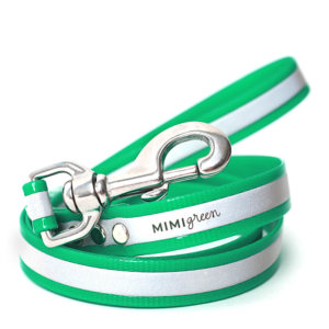 reflective dog leash - green