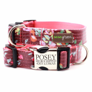 posey engraved dog collar