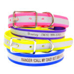 Reflective Personalized Waterproof Dog Collar - Biothane