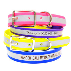 reflective biothane dog collar ID info