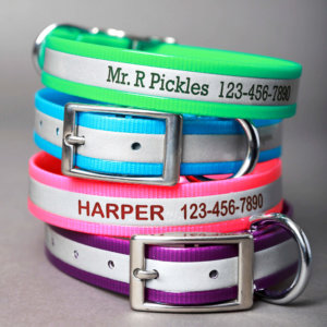 reflective dog collars