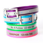 DD: Reflective Dog Collar -- Personalized Waterproof Dog Collar -- 6 Biothane Colors!