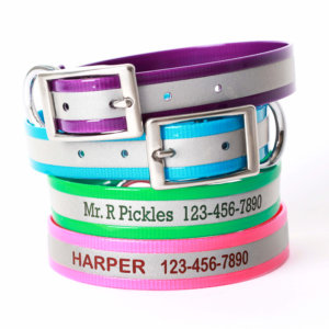 reflective dog collars