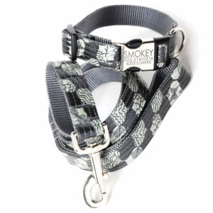 Smokey Grey Dog Leash and Collar Set