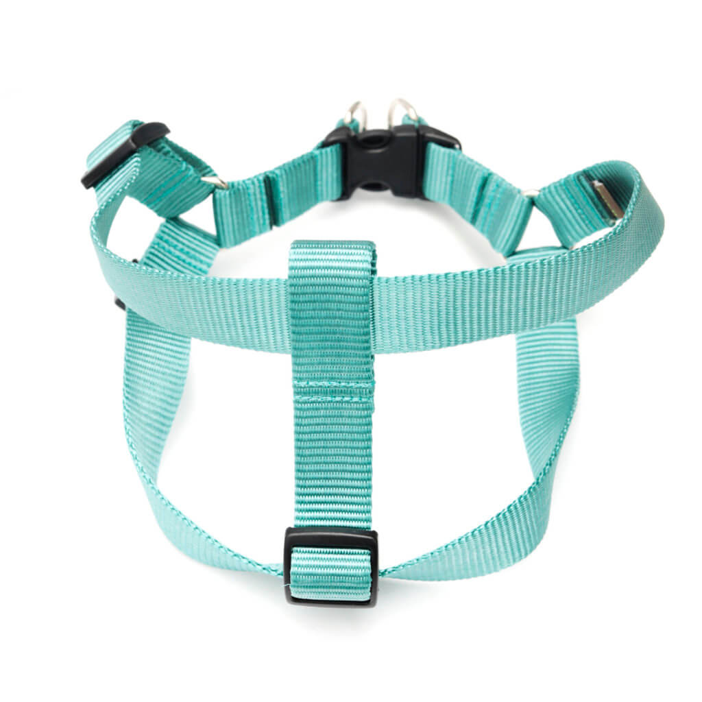teal dog harness