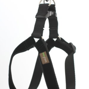 Zelda black velvet harness step in