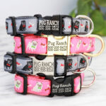 Clearance! Pug Ribbon Dog Collar *Limited Release