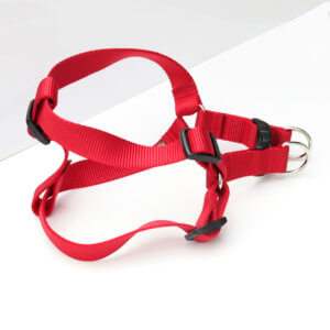 REd nylon dog harness step in