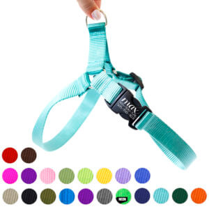 Teal nylon dog harness easy on