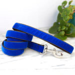 Royal Blue Velvet Designer Dog Leash – ‘Archie’