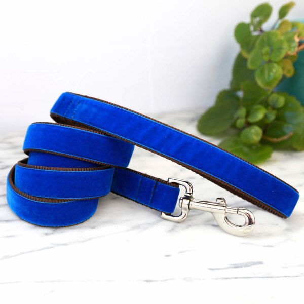 blue velvet engraved dog leash