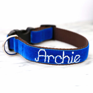 blue velvet embroidered dog collar