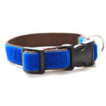Royal Blue Velvet Dog Collar - 'Archie'