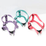 Nylon Webbing Dog Harness -- STEP IN Style
