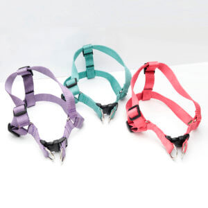 designer Nylon webbing harness