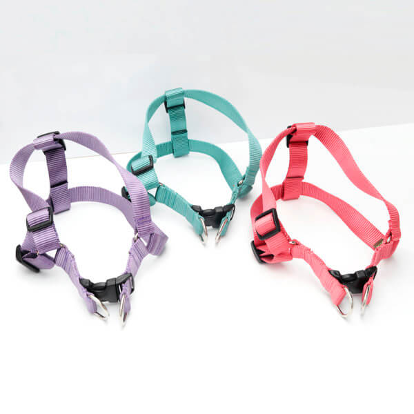 designer Nylon webbing harness