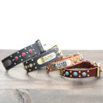 Jewel Studded Leather Dog Collar — ‘Durango Kid’