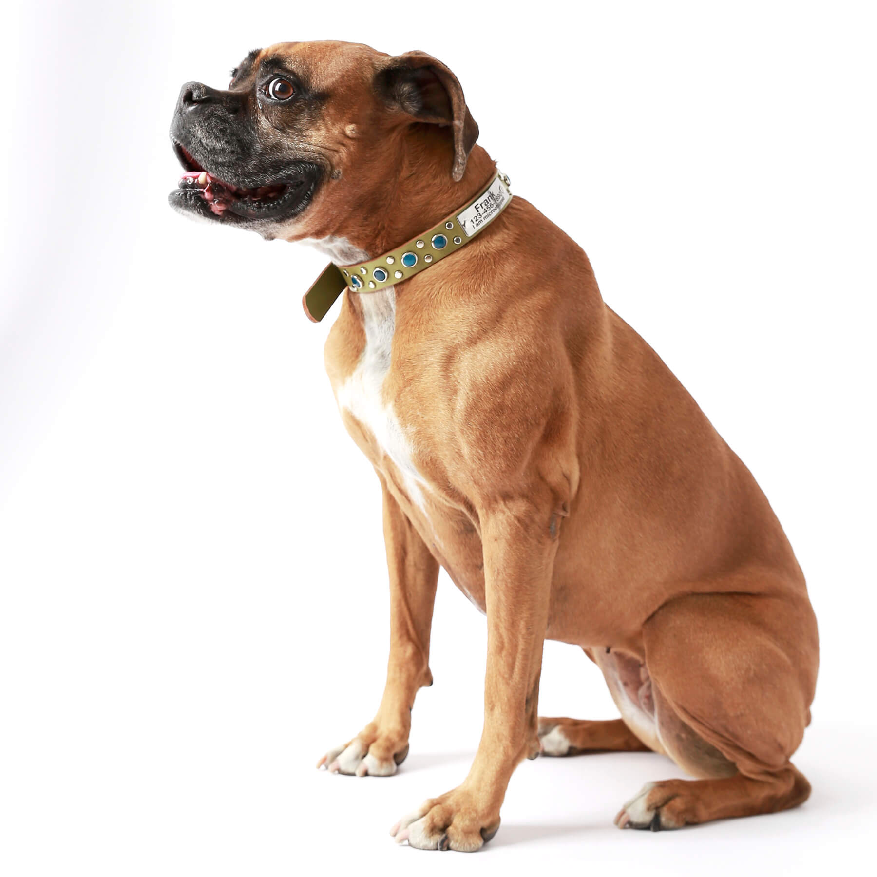 Luxury Brown Leather Dog Collar Designer Dog Collar With Gem 