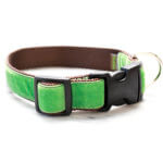 Kelly Green Velvet Dog Collar - 'Oscar'