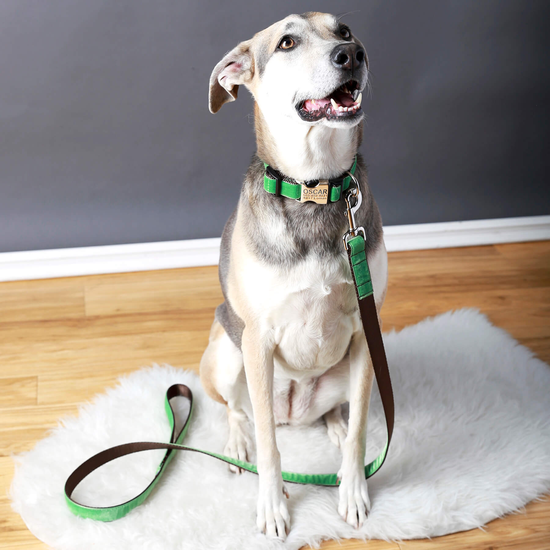 Kelly Green Velvet Designer Dog Leash – ‘Oscar’