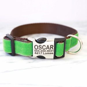 Velvet engraved dog collar