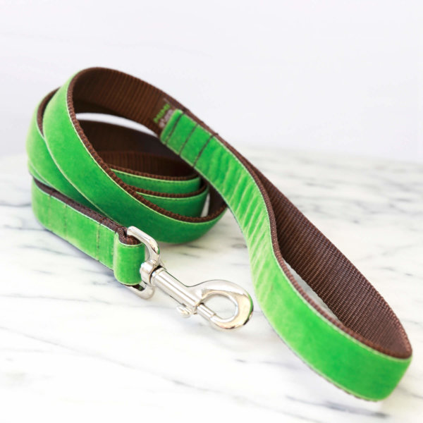 green velvet dog leash