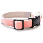 Coral Pink Velvet Dog Collar - 'Peaches'