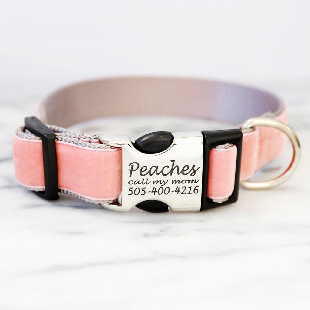 Coral Peach Dog Collar Velvet Mimi Green