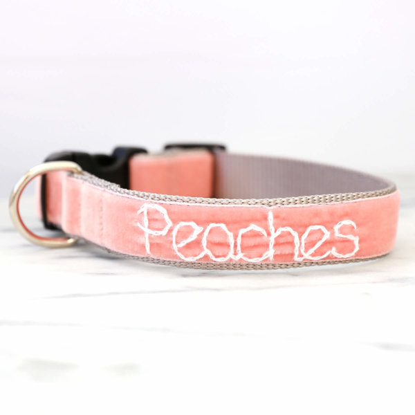 Coral Peach Dog Collar Velvet Mimi Green