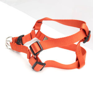 pumpkin orange nylon dog harness step in