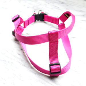 raspberry pink dog harness