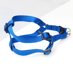 royal Blue nylon dog harness step in