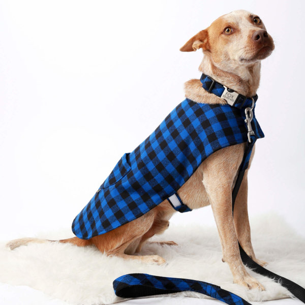 Buffalo Plaid Dog Collars - Optional Engraved Buckle & Matching Bandana
