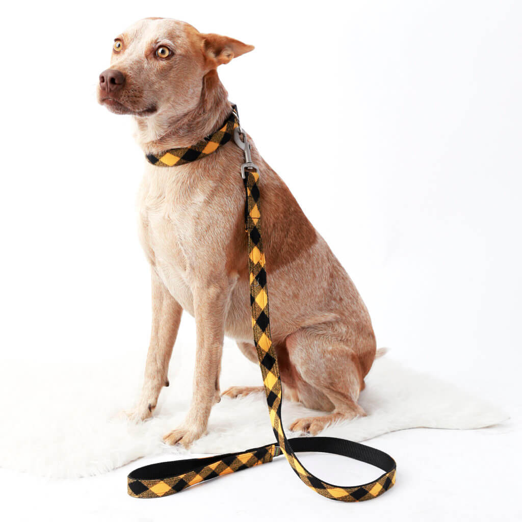 FOX Heeler YELLOW Buffalo Plaid dog collar and leash set custom