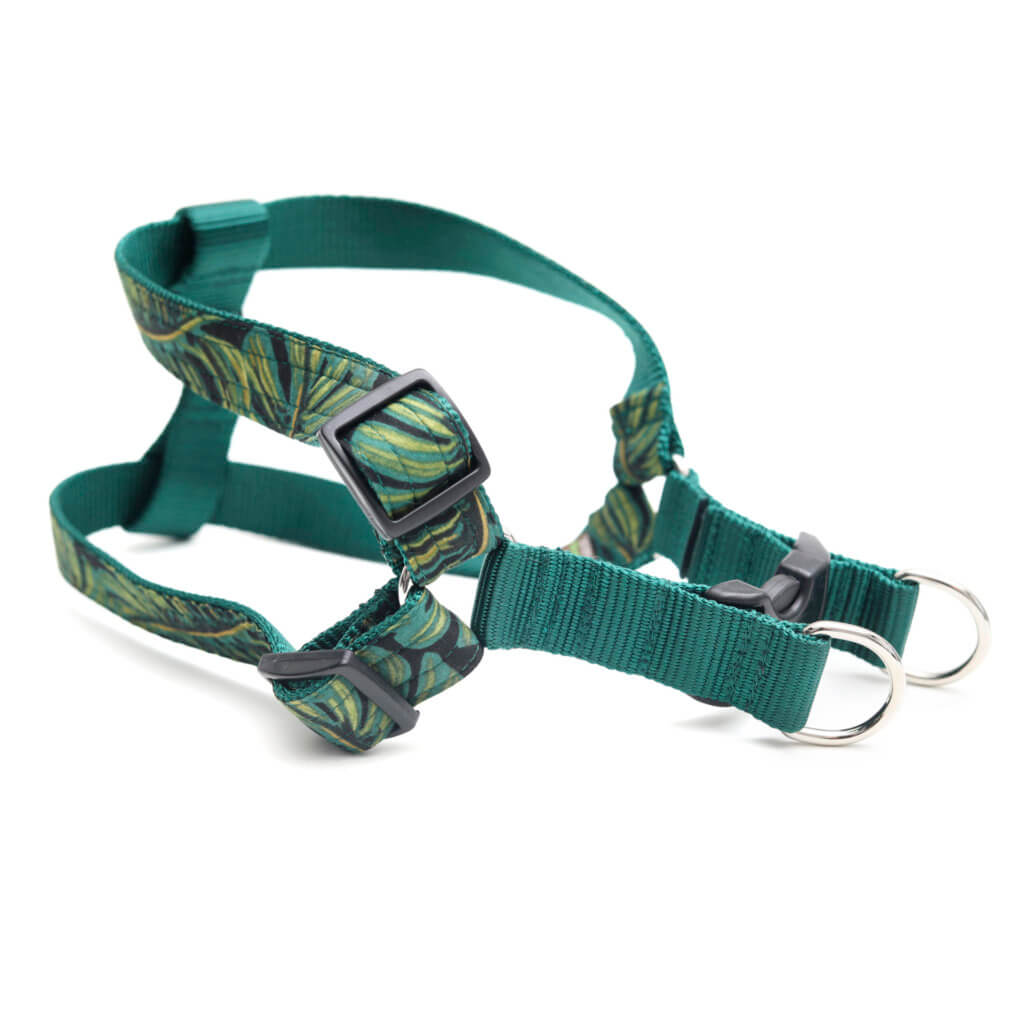 Jungle monstera dog harness