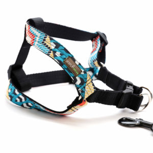 chama harness