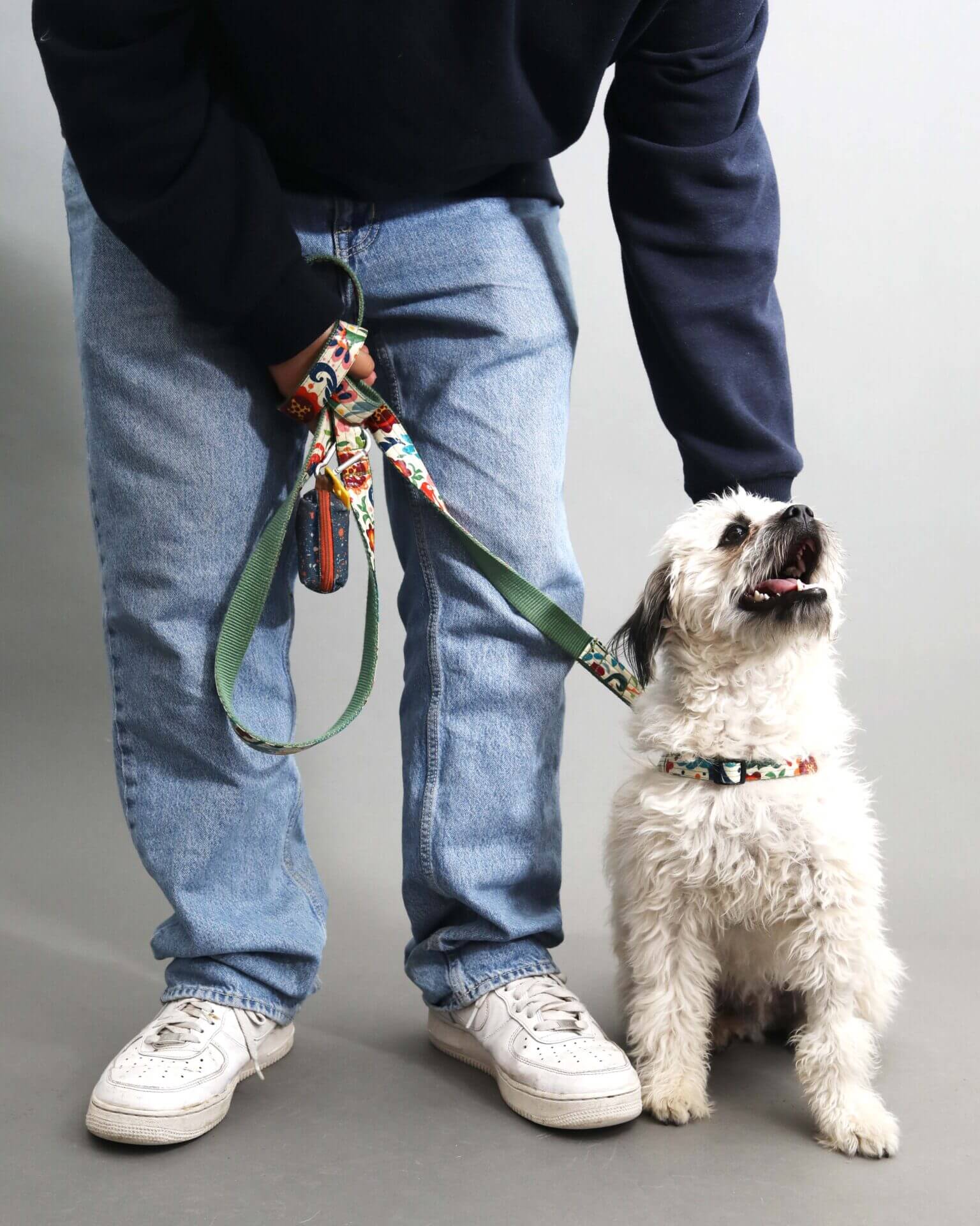 Designer Dog Collar Leash Harness Fashion Gradient Rainbow Color Pet  Products Chain Small Dog Medium Large Fitting Spring Summer