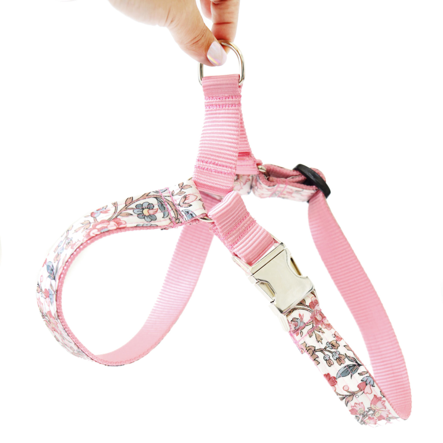 Dog Collar Size Chart Fitting Guide For All Breeds