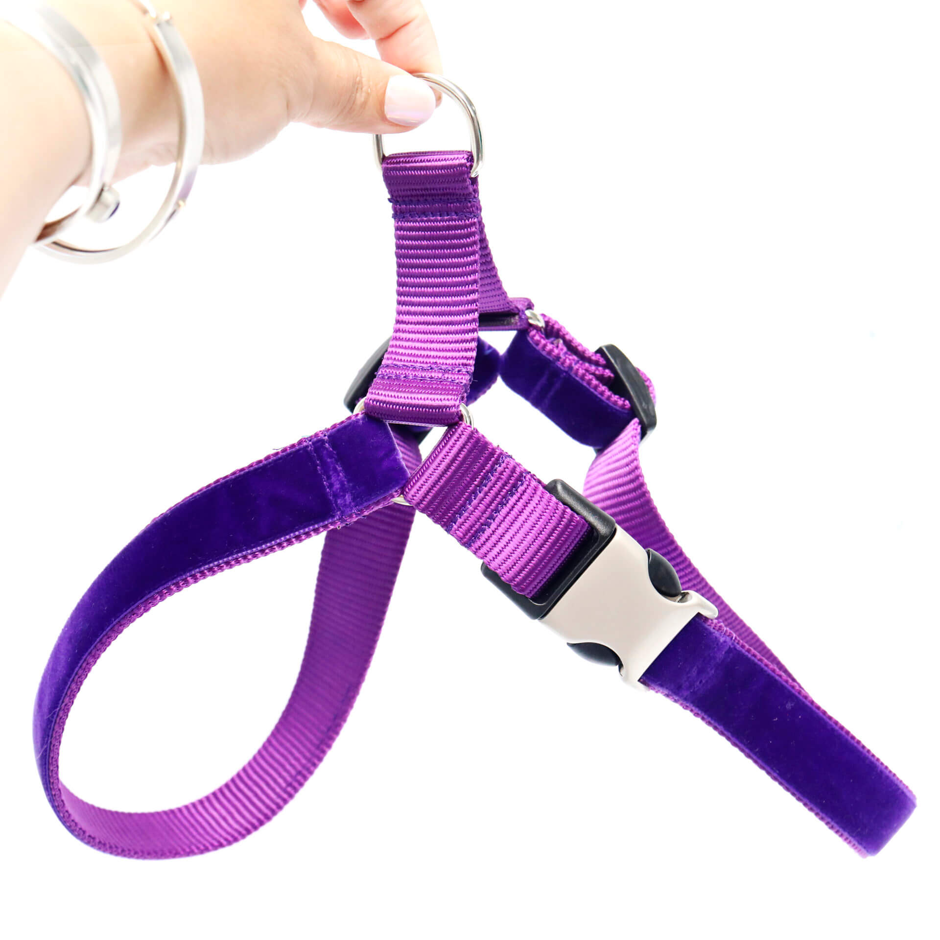purple velvet dog harness